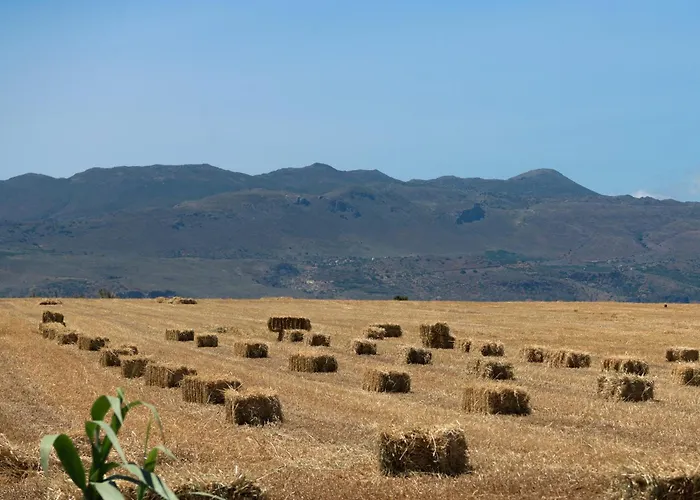 Blue Zone Villa, A Seaview Sanctuary With Pool, By Thinkvilla *